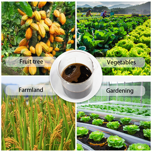 <span class=keywords><strong>Engrais</strong></span> liquide organique à libération rapide avec formule d'acides aminés pour pulvérisation foliaire des légumes et revitalisation rapide - Product Image 5