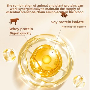 Source Factory Adult Protein <strong>Powder</strong> Supplement Sachet Packaging OEM Customization Wholesale One-Item Dropshipping - Product Image 1