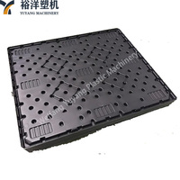 Moins de déchets matériels, retour sur investissement rapide pour la production en série, machine de soufflage par extrusion de palettes de 1,2 * 1 m pour palettes en plastique HDPE