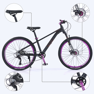 Bicicleta <span class=keywords><strong>de</strong></span> Montaña MTB <span class=keywords><strong>de</strong></span> 26 Pulgadas con Cuadro <span class=keywords><strong>de</strong></span> Aluminio, Frenos <span class=keywords><strong>de</strong></span> Disco y 9 Velocidades, Disponible en Fábrica, en Oferta - Product Image 4