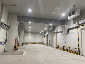 HAOCOOL Commerciële Vriesruimte Koelcontainer PU Sandwich R-410A Koelmiddel Copeland/Emerson/ Aanpasbare Maat Motor Aandrijving - Product Image 1