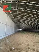 Serre de type tunnel de la marque ZHUOTAI avec couverture en film et système de ventilation pour la culture des fraises et autres légumes