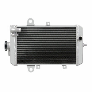 Radiador de Aluminio de 2 Filas GTGMOTO para <span class=keywords><strong>Yamaha</strong></span> <span class=keywords><strong>Raptor</strong></span> 700 YFM700R YFM 700R 2013-<span class=keywords><strong>2020</strong></span> 2014 15 - Product Image 1