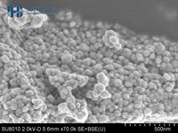 Polvo de Nano Niobio Pentóxido (Nb2O5) 99.99% de Alta Pureza, Nanopolvo Ultrapuro para MLCCs de Grado Automotriz