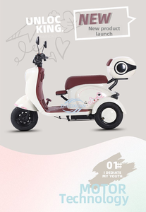 Tricycle électrique robuste et sûr, haute puissance, pour deux personnes, utilisation en voyage - Product Image 6