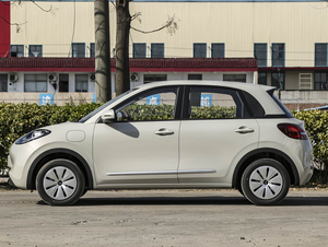 Nuevo Mini Auto Eléctrico de 4 Asientos, Vehículo Eléctrico Compacto para Ciudad, Autonomía de 410 km, Batería LFP, Carga Rápida en 35 Minutos, ABS, ESC, Entrada sin Llave - Product Image 5