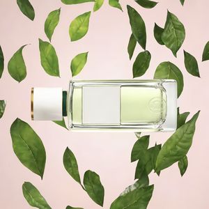 <span class=keywords><strong>Eau</strong></span> de Parfum en Spray Unisex con Aroma Floral, Frutal, Fresco, Cítrico, Amaderado, Ecológico, de Larga Duración, Sin Alcohol, Portátil, para el Cuerpo - Product Image 4