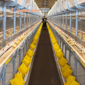 Cage pour poulets de chair en acier galvanisé à chaud durable avec système d'alimentation et d'<span class=keywords><strong>arrosage</strong></span> <span class=keywords><strong>automatique</strong></span> avancé - Product Image 1