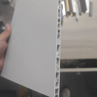 Panneau alvéolaire en aluminium de 7 mm revêtu de PVDF, haute planité, format A4, système de plafond 30-20, revêtement léger, panneau composite à âme légère