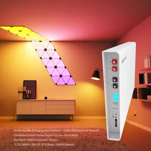 Madsun Powerwall Byd Blade Batterij 15kwh Thuis Energieopslag Batterij Lifepo4 Batterij 51.2V 280ah