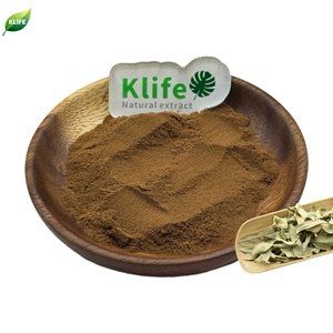 KLIFE Hot Sale Apocynum Venetum Extrakt <span class=keywords><strong>Dogbane</strong></span> Extrakt Apocynum VenetumL. Extrakt pulver 10:1 - Product Image 1