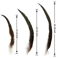 Plumes de queue de coq de haute qualité, teinture naturelle, vente en gros, embellissement de costumes, décoration