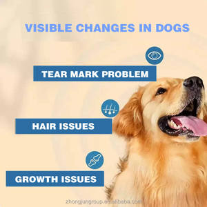 20% 28% Proteína <span class=keywords><strong>Dog</strong></span> <span class=keywords><strong>Food</strong></span> Fabricantes Amostras grátis Custom Bone Saudável Alta Proteína Pet <span class=keywords><strong>Food</strong></span> 20kg Dry <span class=keywords><strong>Dog</strong></span> <span class=keywords><strong>Food</strong></span> Atacado - Product Image 2