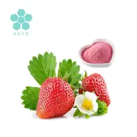 Gefrier getrocknetes Bio-Erdbeer frucht pulver in Lebensmittel qualität