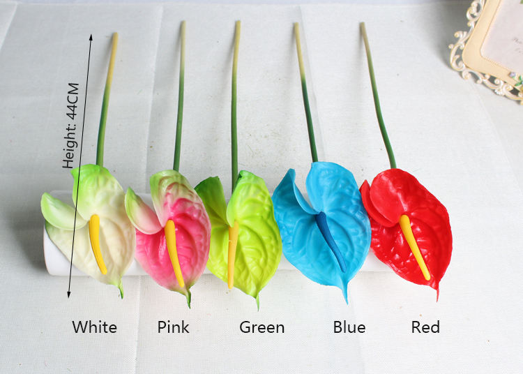 ขาว/ชมพู/เขียว/น้ำเงิน/แดง