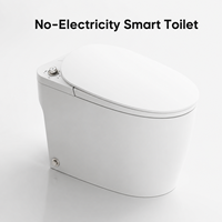 Toilette intelligente non électrique en céramique avec bidet intégré, chasse d'eau manuelle, toilette monobloc