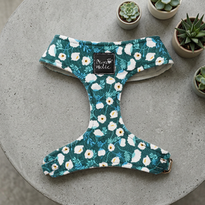 Premium Comfortable Cotton <b>Dog</b> & Cat Harness Fashion Style Breathable Feature Personalized Pet Accessory Wholesale OEM ODM - Product Image 1