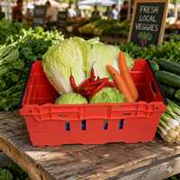 Caisse en plastique durable et écologique HAOSEN - Empilable et emboîtable pour la transformation alimentaire et l'emballage des légumes