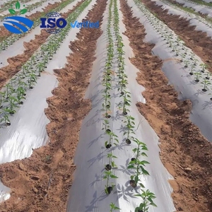Película Agrícola de Polietileno Plateada y Negra 2026 de Gran Venta, Manta de Plástico <span class=keywords><strong>para</strong></span> Cobertura de Suelos en Invernaderos y Control de Malezas - Product Image 1