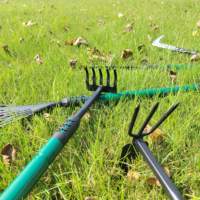 Rastrello per Foglie Piccole e Pala Stretta per Giardinaggio con Manico Telescopico Regolabile, Ottima Qualità, Buon Prezzo, Attrezzi Manuali da Giardino