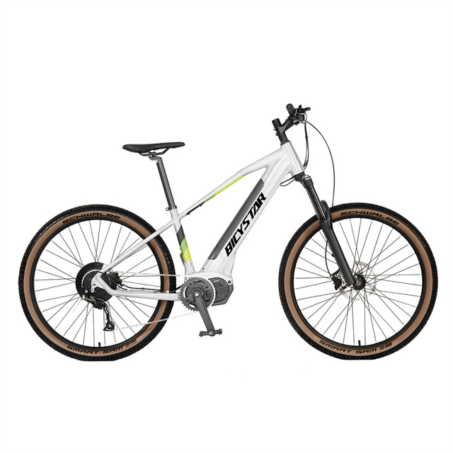 Electronic Component the Electric Mountainbike Low Rider E Fat Bike with BOM/One-stop Service