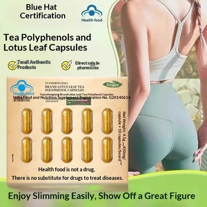 קפסולות הרזיה רבי מכר ODM/OEM, תה פוליפנולים, תמצית עלי לוטוס, תמצית אליסמה אוריינטל, נוגד חמצון, ירידה במשקל - Product Image 2