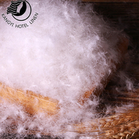 Couette d'hôtel King Size en duvet d'oie, blanche, toutes saisons, avec housse en coton respirant