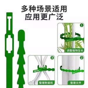 สายรัดต้นไม้แบบใช้ซ้ำได้ ทำจากพลาสติก สำหรับพืชเลื้อยและพืชปีนป่าย - Product Image 4