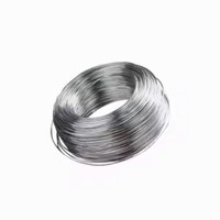 Fil de fer en acier inoxydable 304, brillant, souple et résistant au feu, longueur personnalisable pour murs d'appartements et de parcs