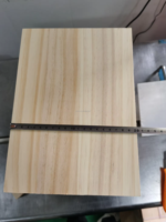 Ruche australienne sans abeilles, ruche indigène australienne