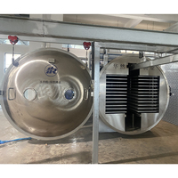 Industriële vriesdroogmachine vacuümlyofilisator apparatuur voor het drogen van voedsel, fruit en groenten, fabrieksprijs