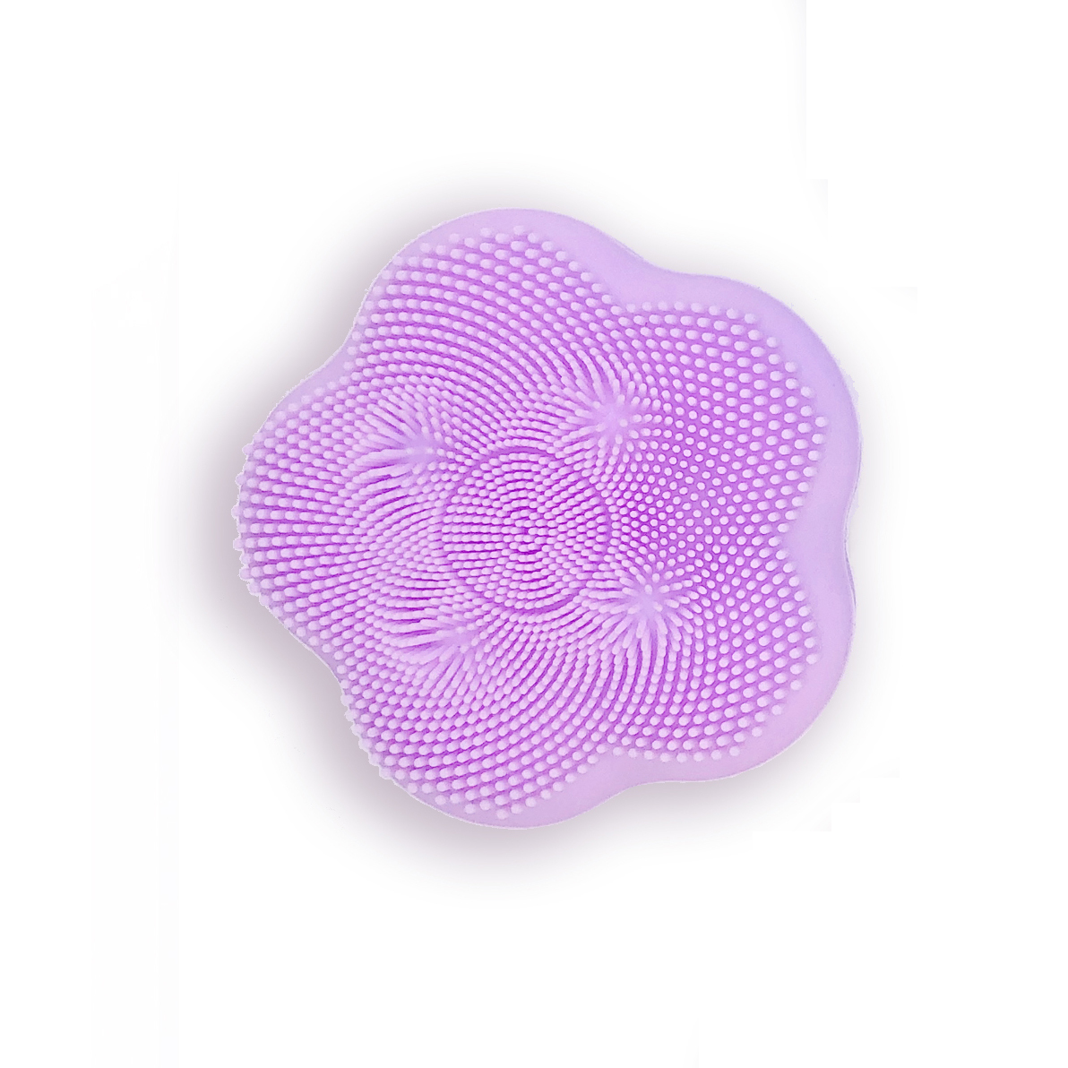 Pourpre