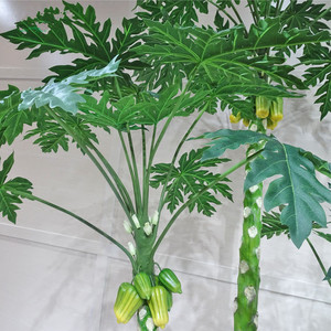 Plantes artificielles <span class=keywords><strong>de</strong></span> bureau, 1 pièce, matériau PE vert, décoration en plastique, <span class=keywords><strong>arbre</strong></span> à <span class=keywords><strong>papaye</strong></span> - Product Image 5