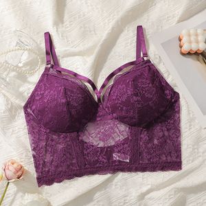 <b>Bra</b> Manufacturer Plus Size Sexy Lace Floral Pattern Underwire <b>Bra</b> for Fat Women Large <b>Cup</b> <b>Bras</b> - Product Image 3