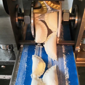 Machine à Pelmeni et à Ravioli pour Usines Alimentaires de Shanghai Chengtao - Product Image 6