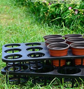 Bandeja <span class=keywords><strong>de</strong></span> Plástico para Plántulas <span class=keywords><strong>de</strong></span> Orquídeas <span class=keywords><strong>Phalaenopsis</strong></span> con 12/15 Agujeros, Kit <span class=keywords><strong>de</strong></span> Celdas <span class=keywords><strong>de</strong></span> Cultivo para Plantas <span class=keywords><strong>de</strong></span> Flores, para Invernadero, Jardín o Vivero - Product Image 5