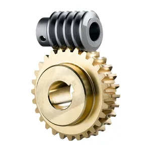 Hot Sale Customized Custom Oem Forged Small 3 1 Drive Worm Gear For Manufacturing Plant