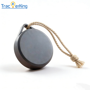 Long Standby Wireless Asset GPS Tracker GSM Locator for Pet Person Car Bike and Outdoor Use Mini <b>Tag</b> - Product Image 1