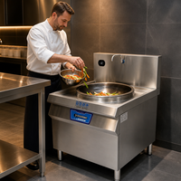 Cuisinière à induction électrique professionnelle pour wok et soupes, équipement de cuisine pour la restauration et les restaurants