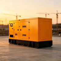 Groupe électrogène diesel silencieux Baudouin 220 kW 50 Hz 400 V avec régulateur électronique, alimentation de secours industrielle, OEM disponible Lilysenma