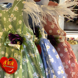 Robe de fête pour bébé fille, style jhabla, en coton imprimé floral, printemps, design élégant, sans manches - Product Image 5