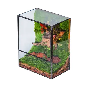 Enclosed Rectangular Glass Terrariums With Doors Geometric Containers Landscape Plant Terrariums For Wall Moss Succulents