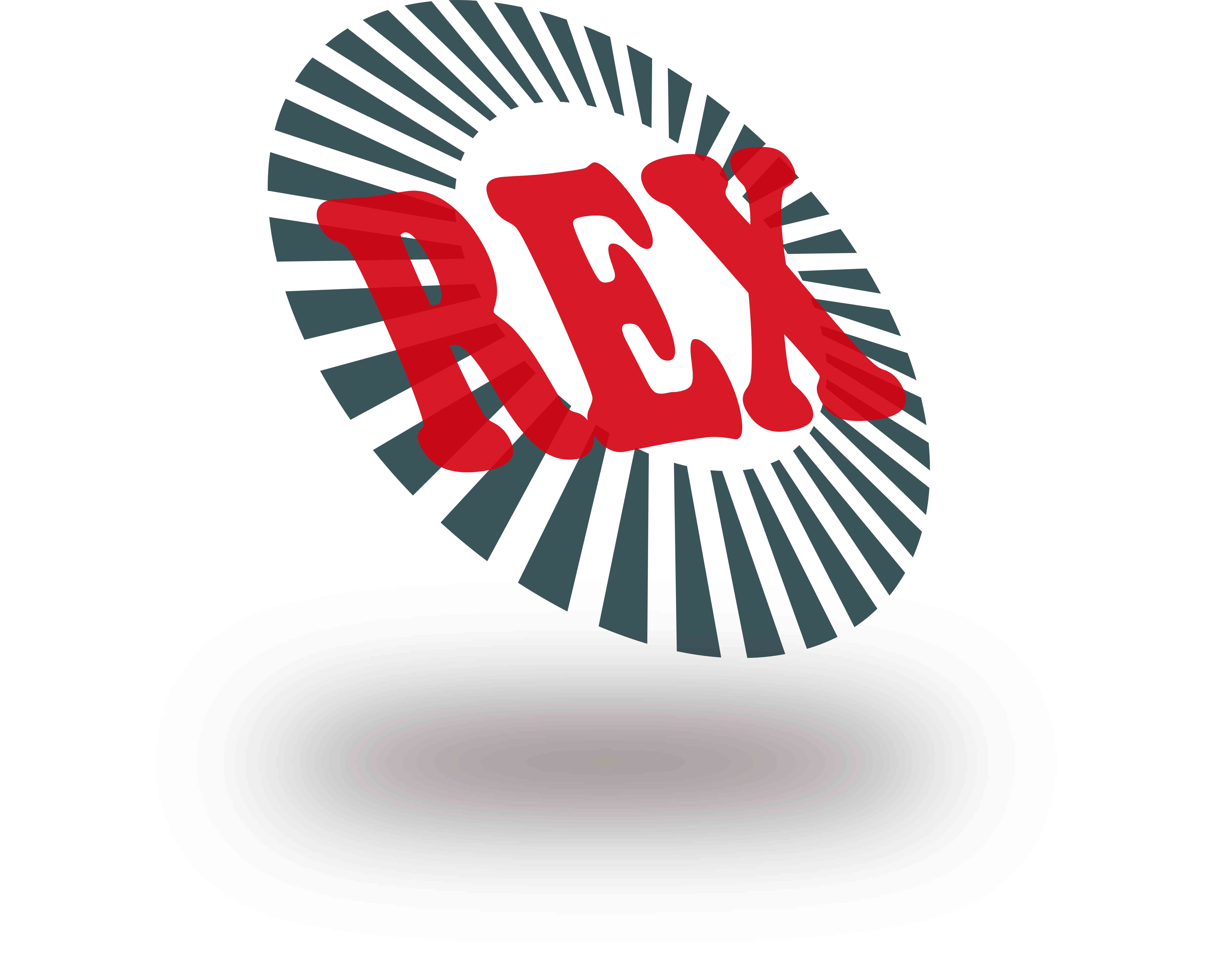 Yancheng Rex Abrasive Technology Co., Ltd. logo