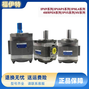Pompe à engrenages Voith série IPVP, pompe hydraulique à haute pression à déplacement fixe, corps en fonte, engrenages en cuivre - Product Image 5
