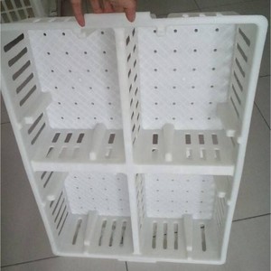 กรงขนส่งลูกไก่พลาสติกสำหรับลูกไก่เลี้ยงวันแรก - Product Image 2