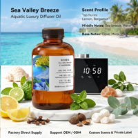 Huile parfumée Sea Valley Breeze aux agrumes, huile essentielle pour diffuseur de parfum commercial, machine de diffusion de parfum pour hôtel, spa, huile aromatique, OEM ODM Factory