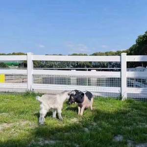 Valla de PVC para <span class=keywords><strong>Caballos</strong></span> de <span class=keywords><strong>3</strong></span> Rieles, Valla Blanca de PVC para <span class=keywords><strong>Caballos</strong></span> - Product Image 1