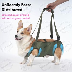สายรัดยกสุนัขแบบปรับได้สำหรับสะพายไหล่ ช่วยพยุงขาแบบไม่รัดเป้า สำหรับสุนัขสูงวัย - Product Image 3