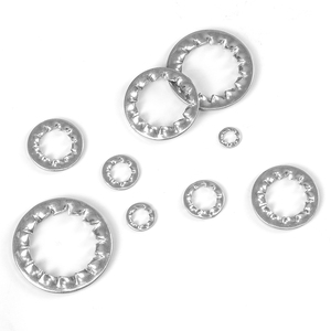 Lot de 10 rondelles de blocage à dents intérieures plates en acier inoxydable 304/acier au carbone zingué, norme DIN, M3-M5-M8-M16-M30 - Product Image 1