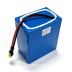 Custom EU Interface Charging Connector <b>24v</b>/48v Lithium Lifepo4 Bateria De litio <b>Battery</b> Pack for Portable Testing Equipment - Product Image 1